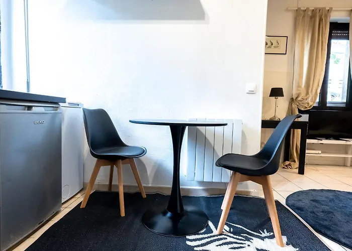 Joli Studio Joinville Bord De Marne 15M De Paris